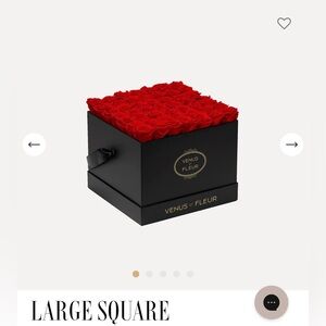 Venus et Fleur 42-49 Eternity Roses. NEW and still in box.